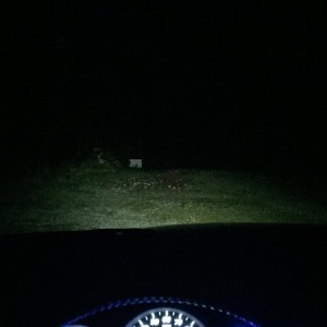 Headlights