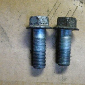 Caliper Bolts (Taco/Tundra)