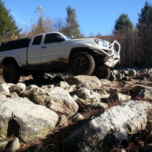 Taco Front