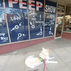 Peep show