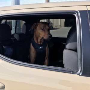 It's really his truck. I just drove him around in it.