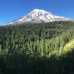 Mt Rainier