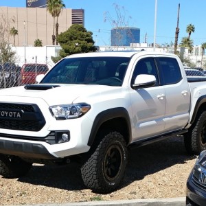 My taco