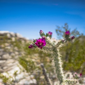 Untitled-18-2