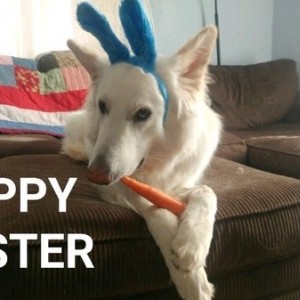 Happy easter