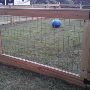 Fence