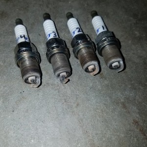live11a1HF.jpg