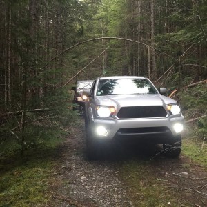 2013 Toyota Tacoma