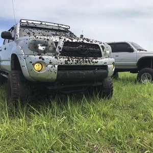 Mud facial for The_Terror