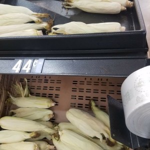 Fresh sweet corn anyone?