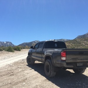 Cold Creek, NV 002