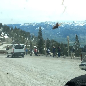 Quick, everyone jump out and take the same picture