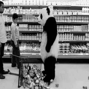 AngryPanda