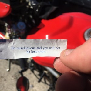 Best fortune ever!