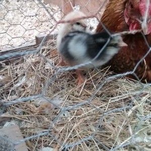 20170524_192342