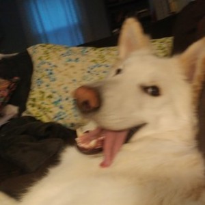 Oh, Hi