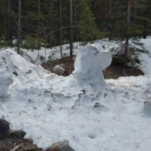 Anyone else see a dog house and dog?