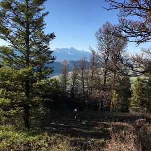 Took the wrong trail and accidentally climbed 1300ft above Jackson. Worth it for the ride down though