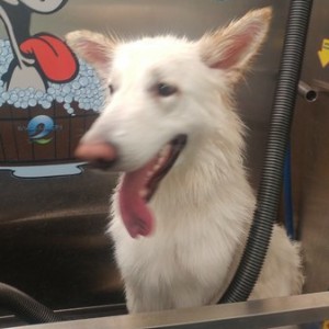 Bubble bath