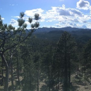 Black Hills View