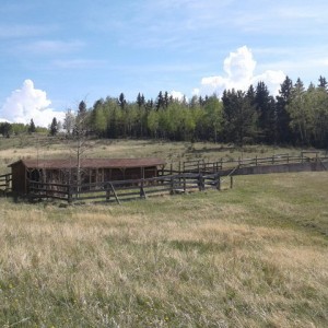 20170604_163750