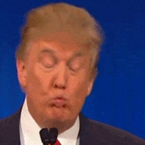 Donald-trump-funny-face-animated-gif