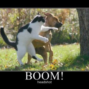 Boom_headshot22