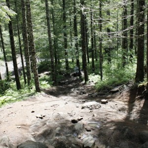 _MG_3327_resize