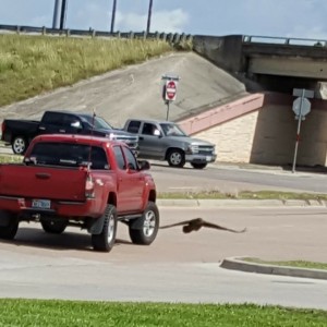 20170415_113411