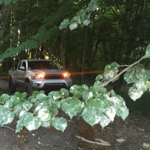 2013 Toyota Tacoma