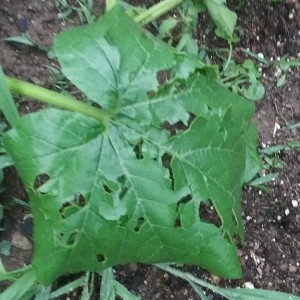 20170627_191002