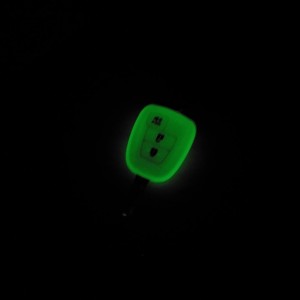 IMAG0304