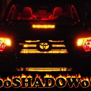 Big SHADOW 2