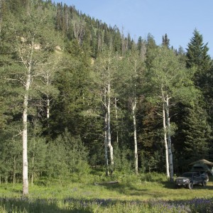 Joes Valley Reservoir Area Campsite
