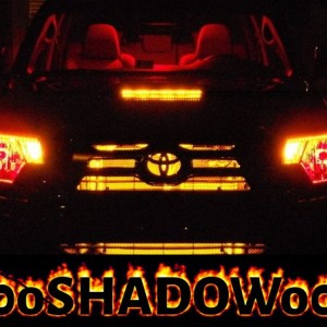 New Shadow