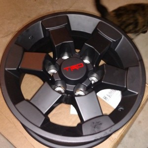 Rims_zpstaewcwy4