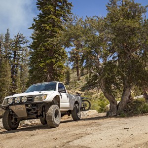 Bald Mt Peak