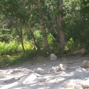 20170723_104204