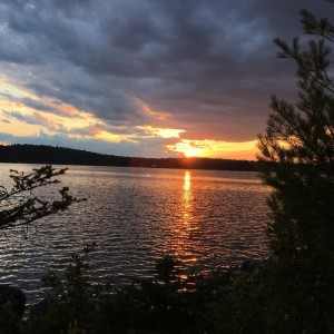 IMG_5268