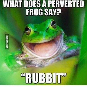 What-does-a-perverted-frog-say-trubbit-15727245