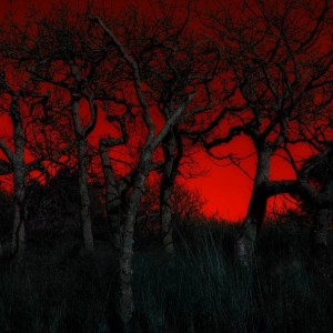 Fire_sky-wallpaper-2560x1600