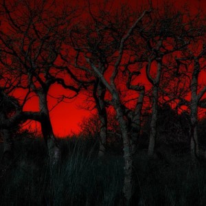 Fire_sky Left