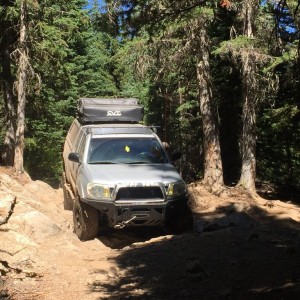 Whipsaw trail