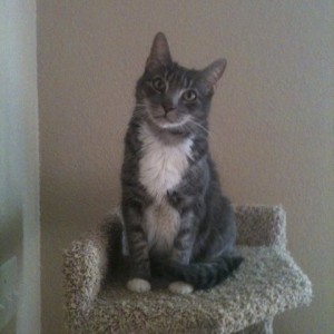 Photo[9]