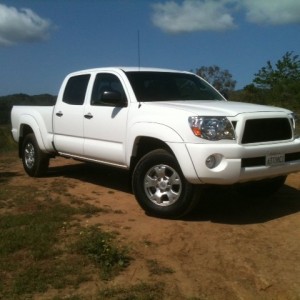 Taco At Lake