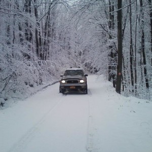 Playing on the seasonal roads