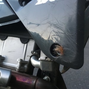 Hit A Deer