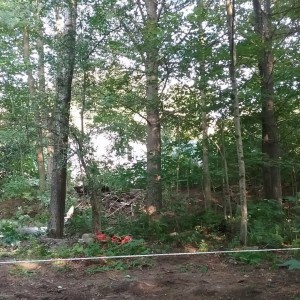 20170812_173750