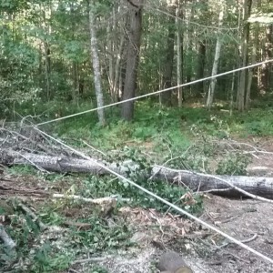 20170812_173805