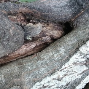 20170820_104637
